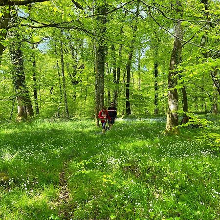 Maison Chaleureuse Avec Jardin - Pause Normande Sées Екстериор снимка