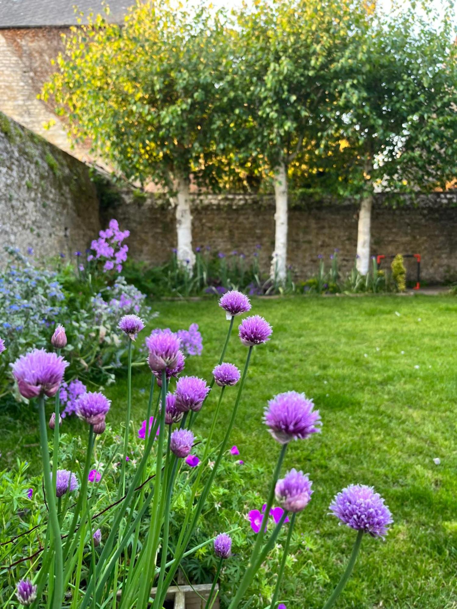 Maison Chaleureuse Avec Jardin - Pause Normande Sées Екстериор снимка