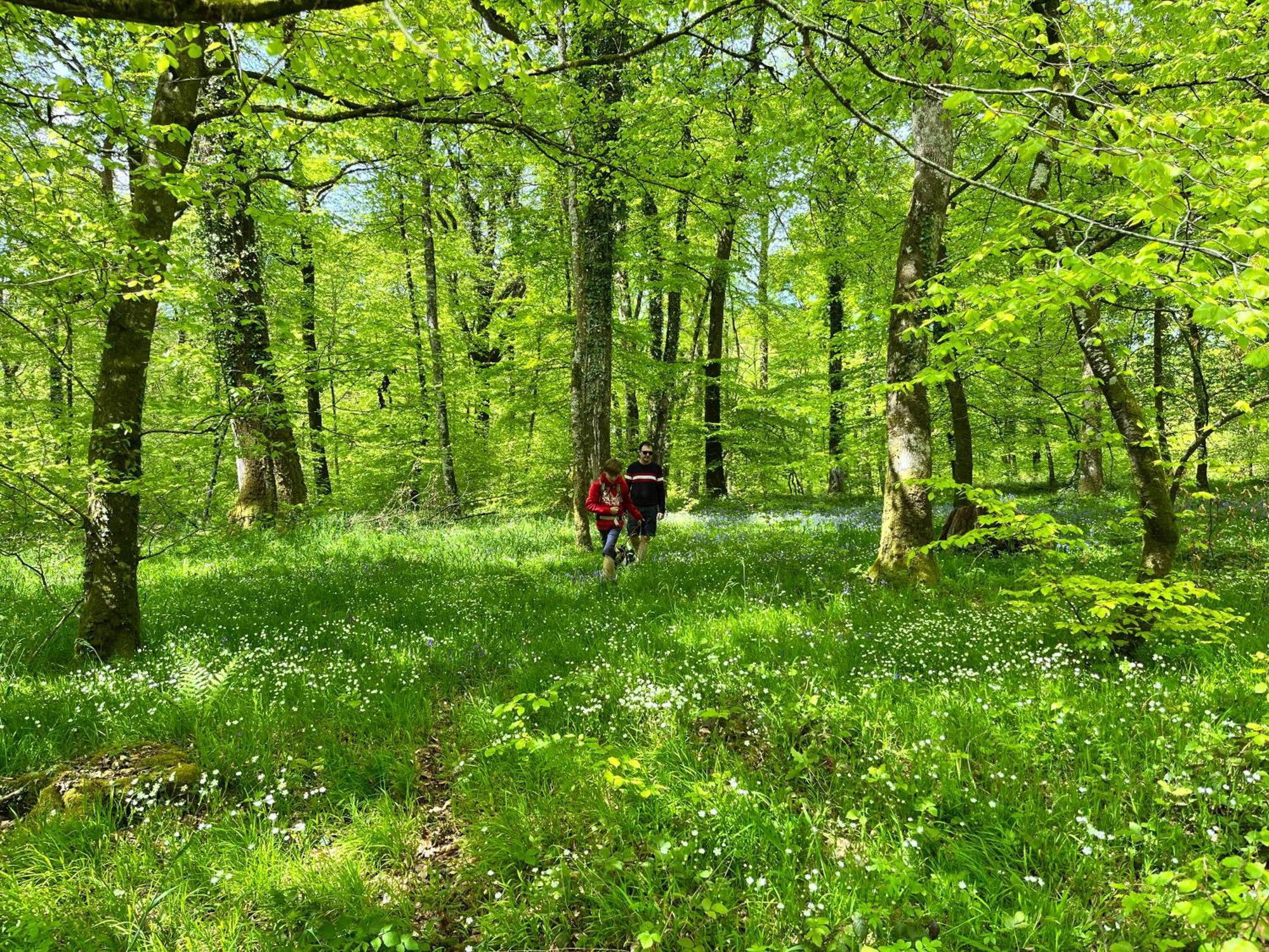 Maison Chaleureuse Avec Jardin - Pause Normande Sées Екстериор снимка